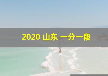 2020 山东 一分一段